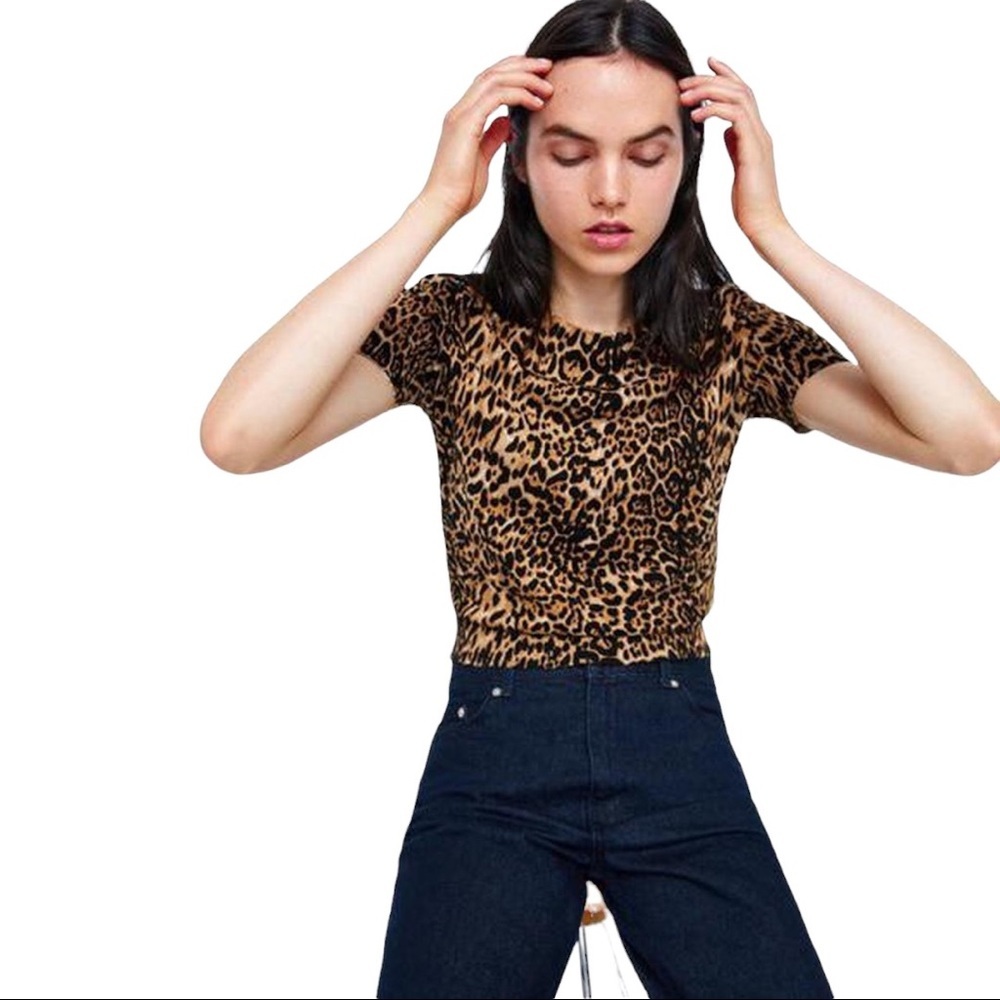 Zara Knit Leopard Short Sleeve Sweater- SZ Medium​